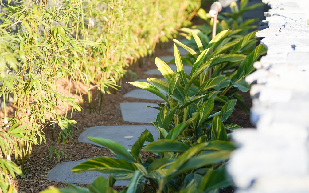 landscaped garden