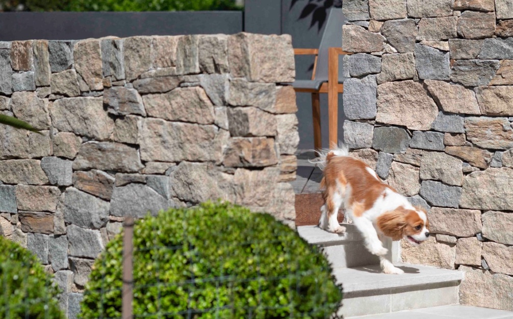 natural-stone-wall-cladding